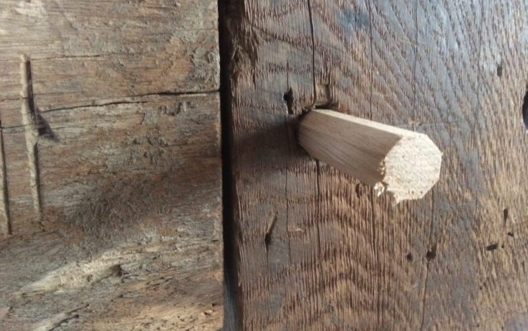 Eichenholz mit einem herausragenden Holznagel in einem Holzbalken.