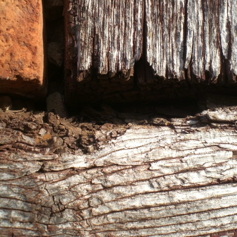 Nahaufnahme von Holzoberfläche eines Fachwerkhauses mit Lehmsteinen und Fugen.