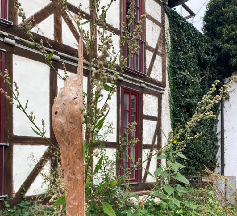 Holzskulptur vor einem Fachwerkhaus, umgeben von Pflanzen und Büschen.