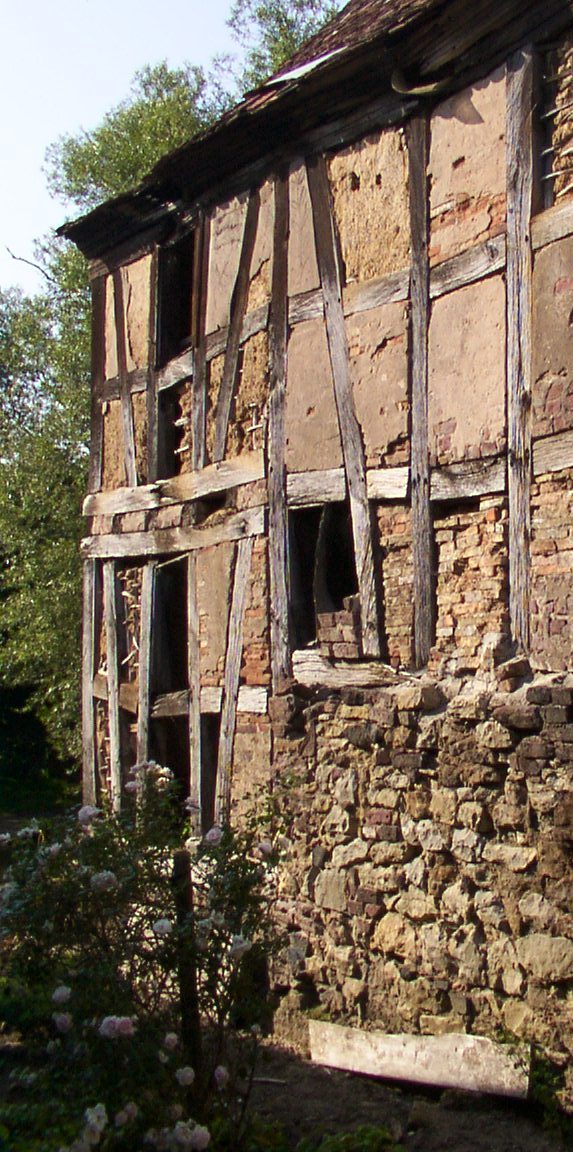 Fachwerkhaus mit sichtbarer Holzkonstruktion und einem Steinfundament, umgeben von Bäumen.